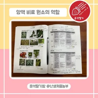 양액 재배 기초 배양액 비율 전기전도도 산도 관리_31