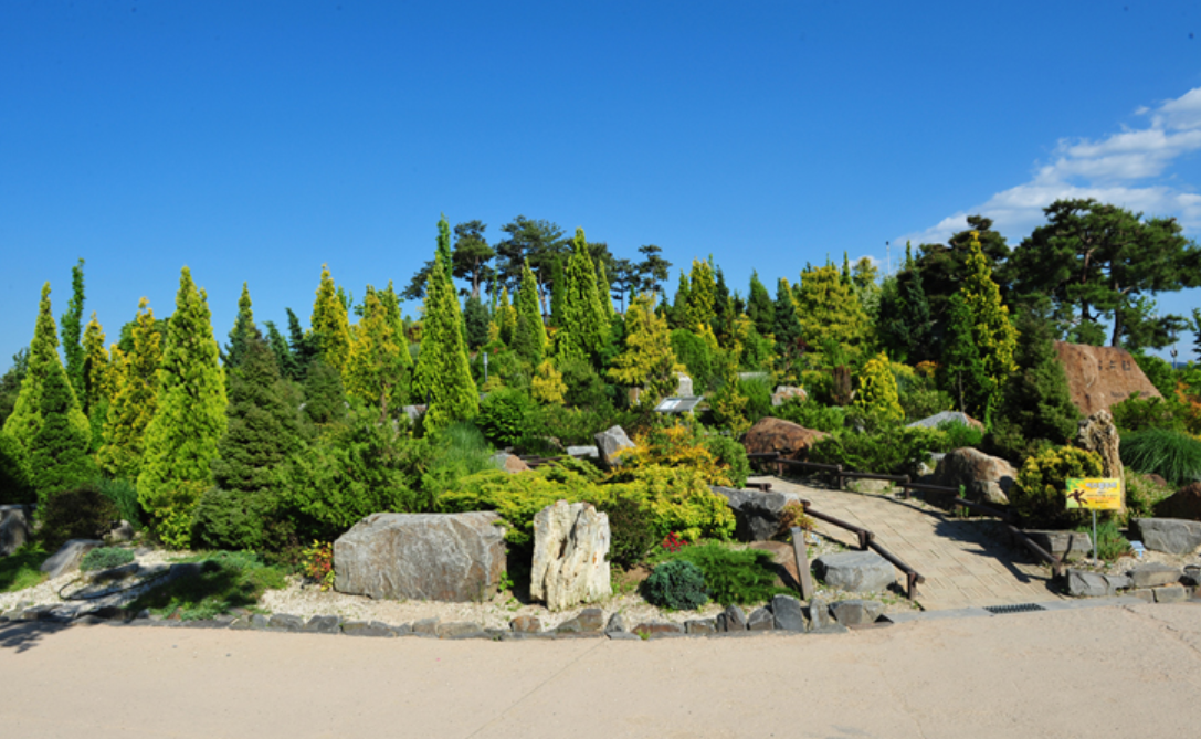 대전 가볼만한곳 베스트10