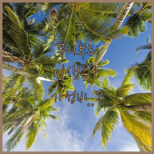 태국 꾸이부리 풀빌라부터 가성비 숙소..