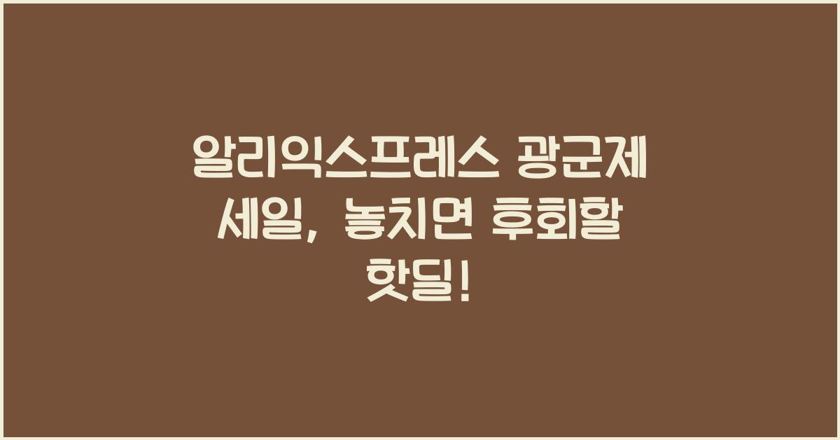 알리익스프레스 광군제