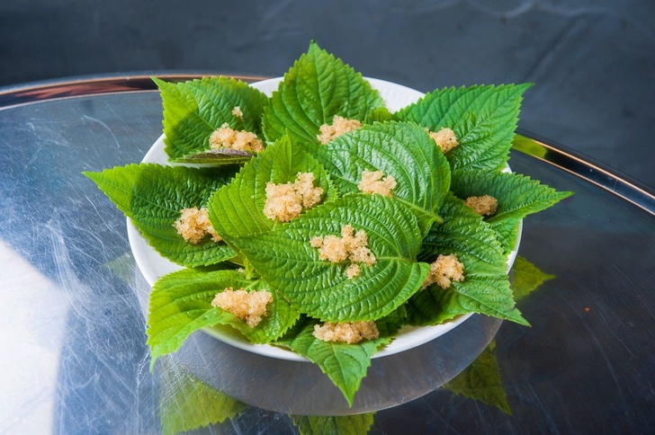 깻잎-효능