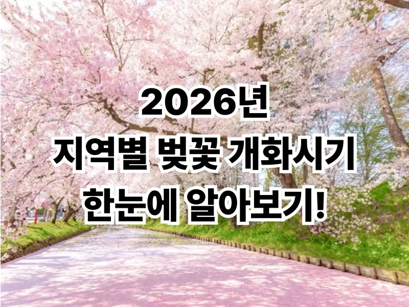 전국 벚꽃 개화 순서 및 지역별 개화 시기