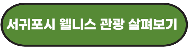 서귀포 글로컬페스타 예매하기
