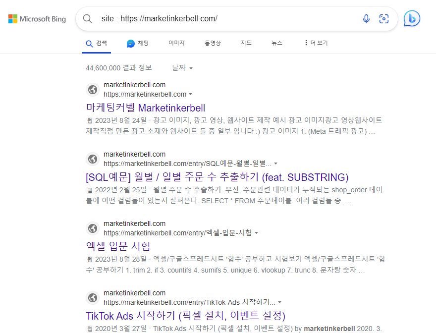 빙에 내 사이트 잘 등록 되어 있는지 확인하는 방법