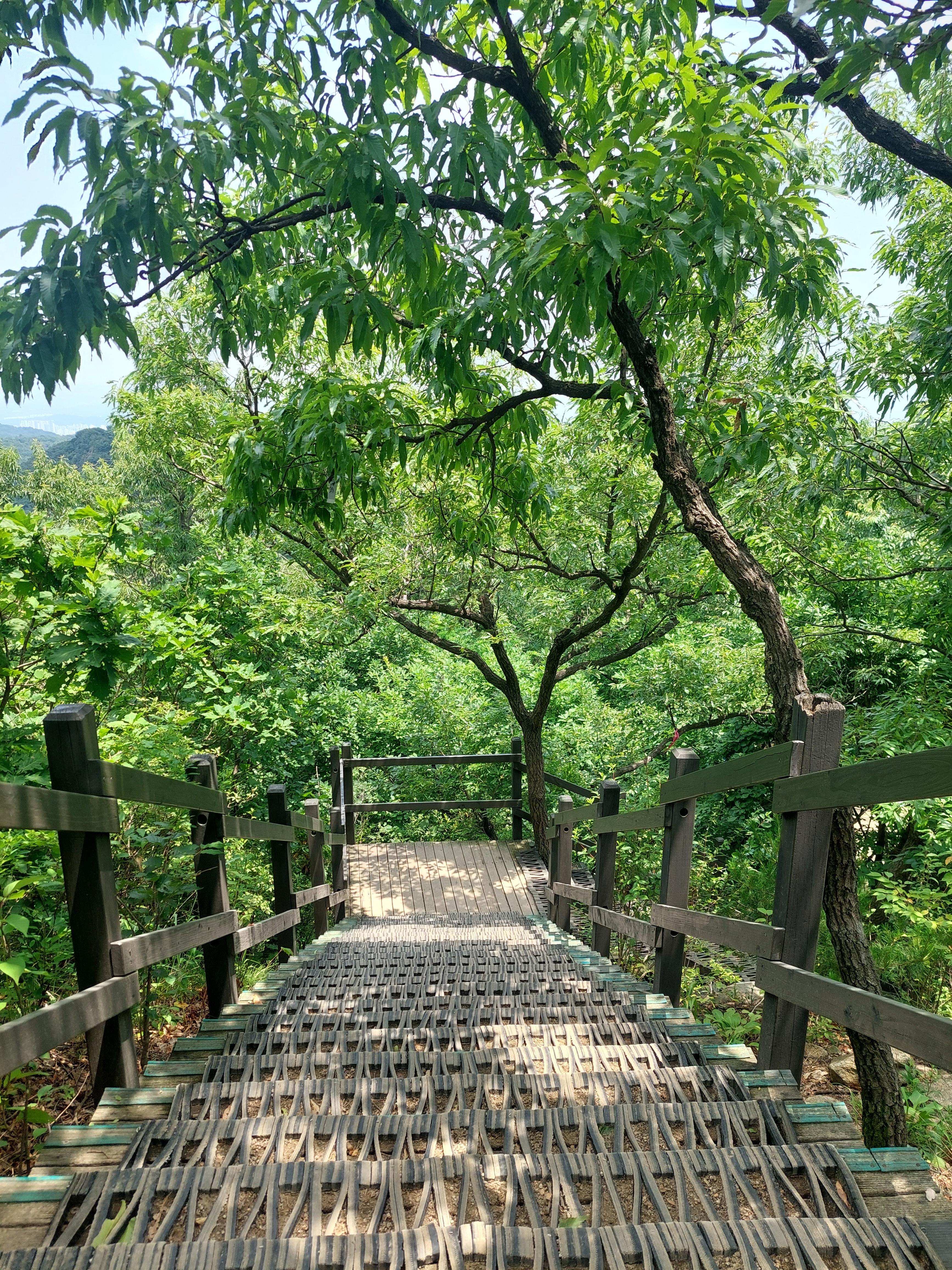 용마산아차산