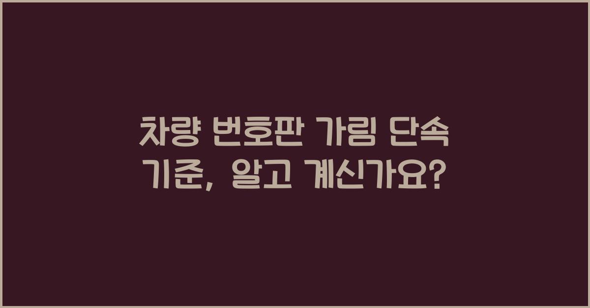 차량 번호판 가림 단속 기준