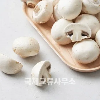 양송이버섯 제철 손질법과 볶음 요리 보관까지 전부 알려드립니다_5