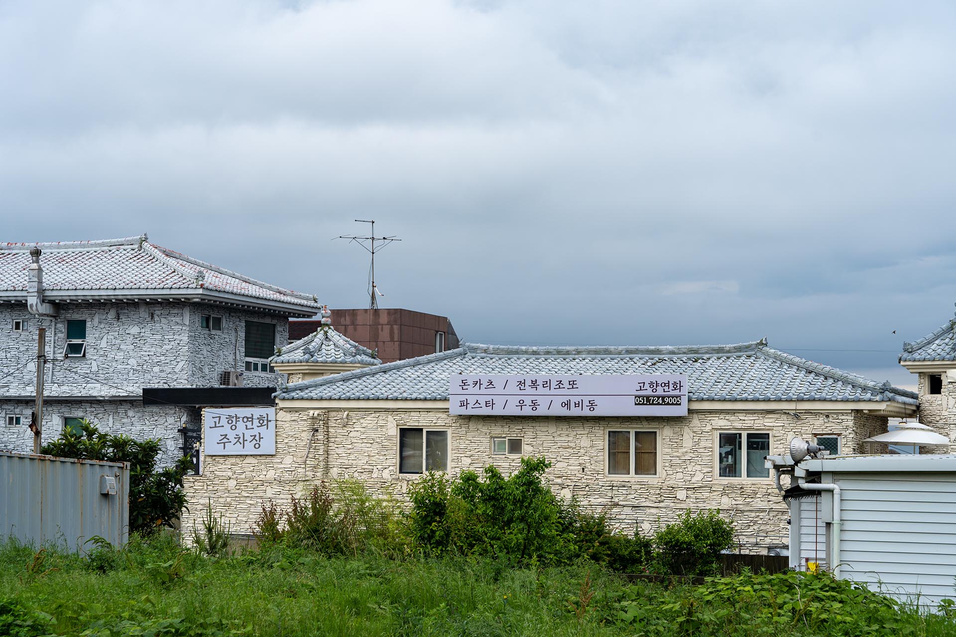 고향연화 뒷편