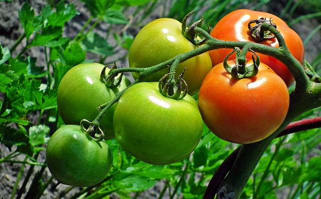 손가락 마디가 아픈이유 9