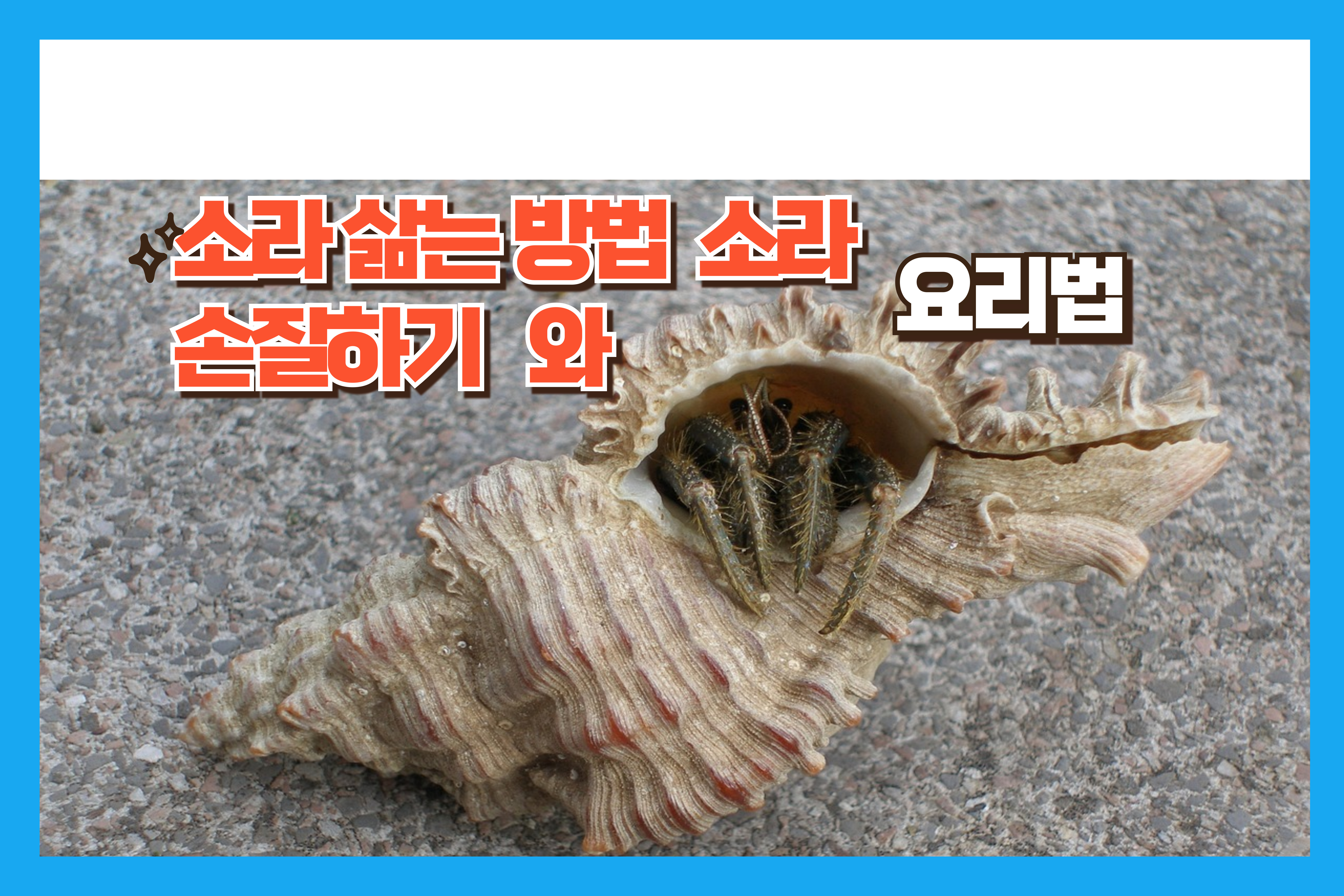 소라삶는방법손질하기와요리법