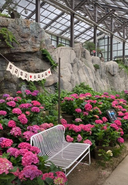 화담숲 수국축제