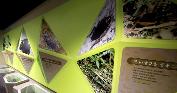 양평 곤충박물관