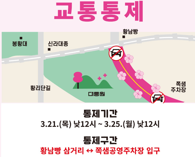 경주 대릉원돌담길 벚꽃축제