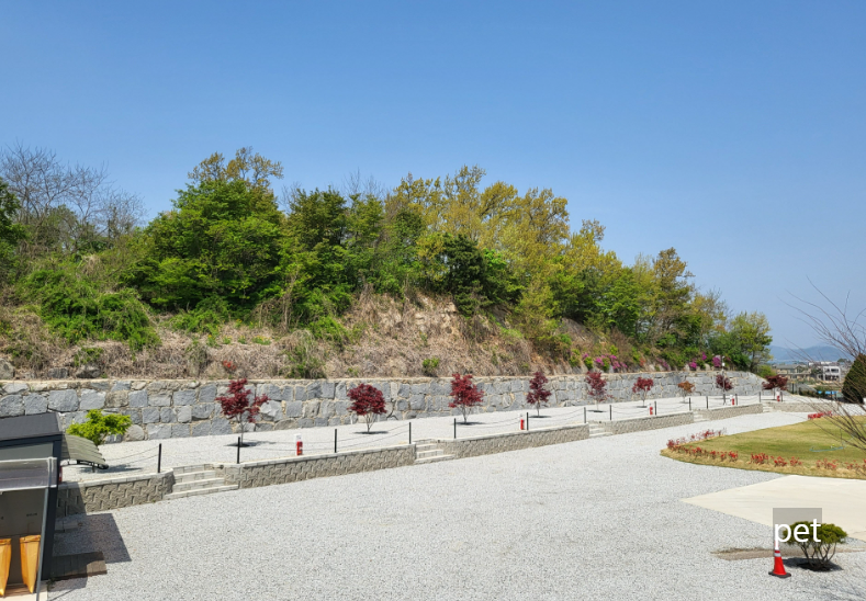 경기-인천-어썸캠핑장-예약-방법-애견-동반-가격-주소-시간-후기