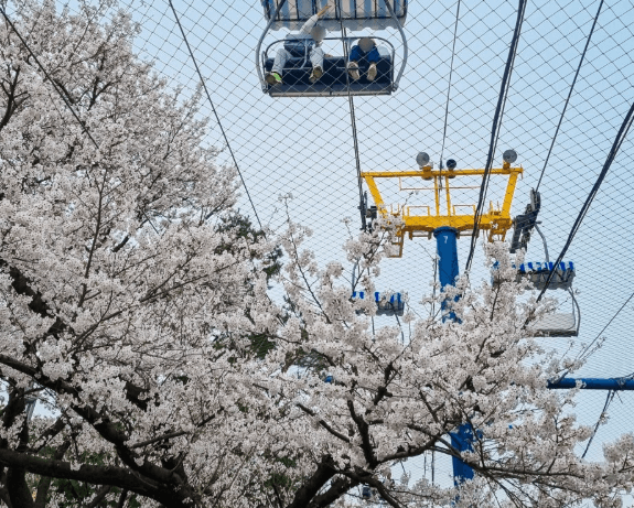 서울대공원