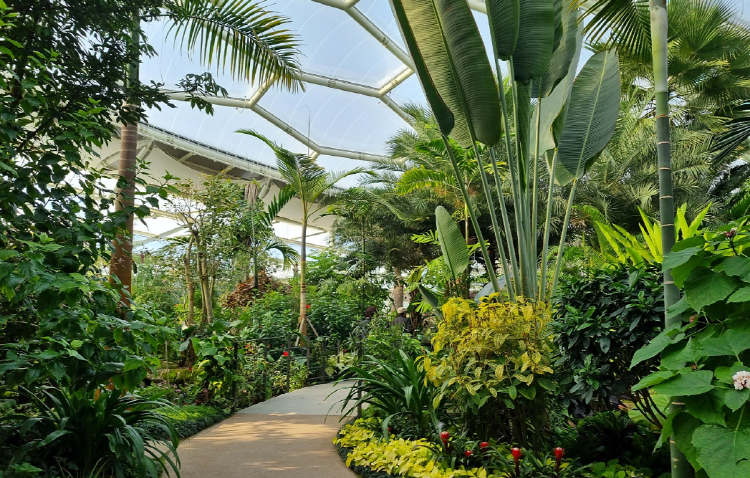 부천호수식물원 수피아