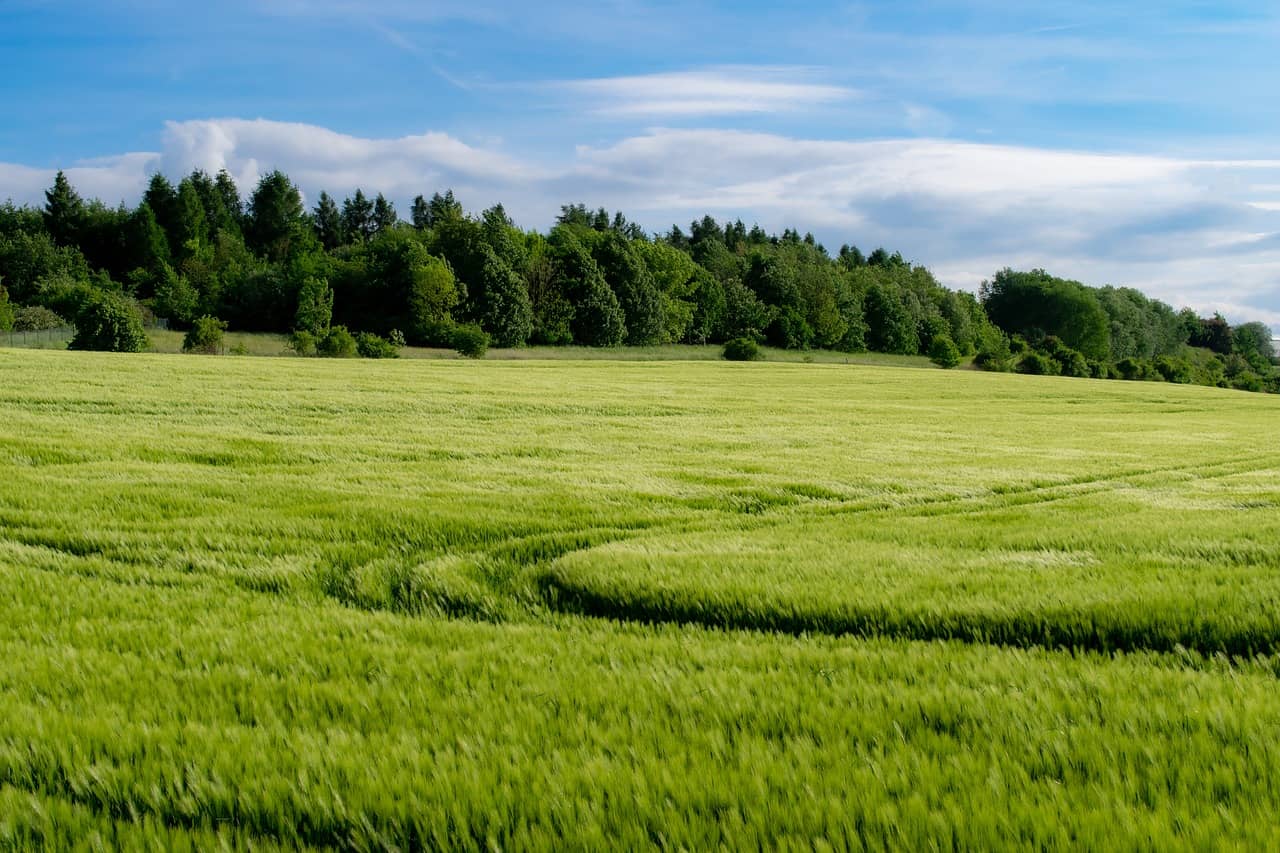 지능형 농업 기술자란? 스마트 농업의 미래를 책임지는 첨단 직업