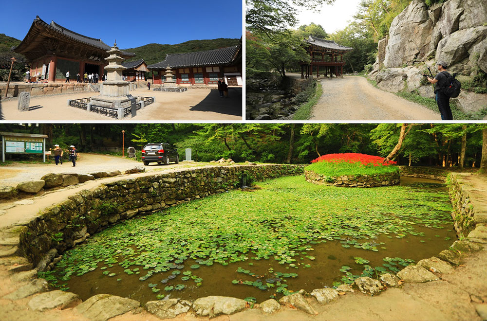 순천 선암사 모습(순천시청 제공)