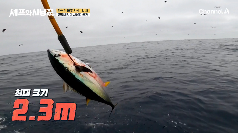 연예인들이 멧돼지 사냥해오면 월클셰프가 요리해주는 미친 예능.jpg | 인스티즈