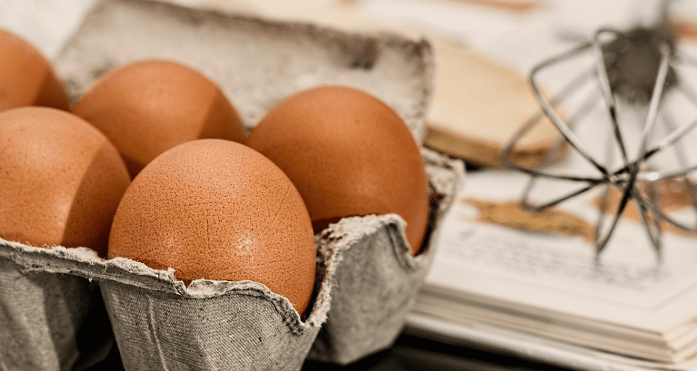 내장 지방 빼는 음식 계란