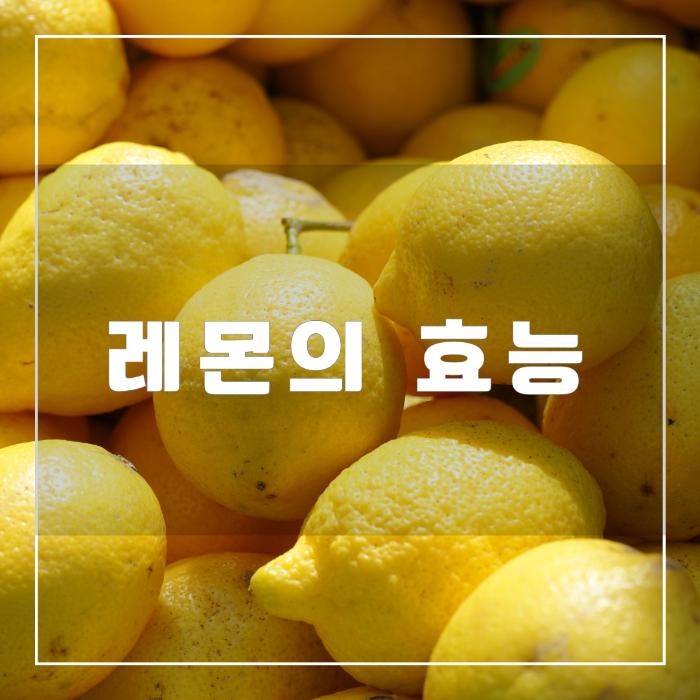 레몬