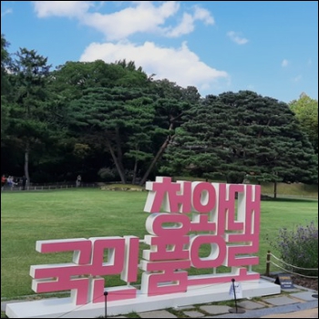 청와대 관람신청 국민품으로