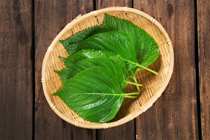 깻잎효능
