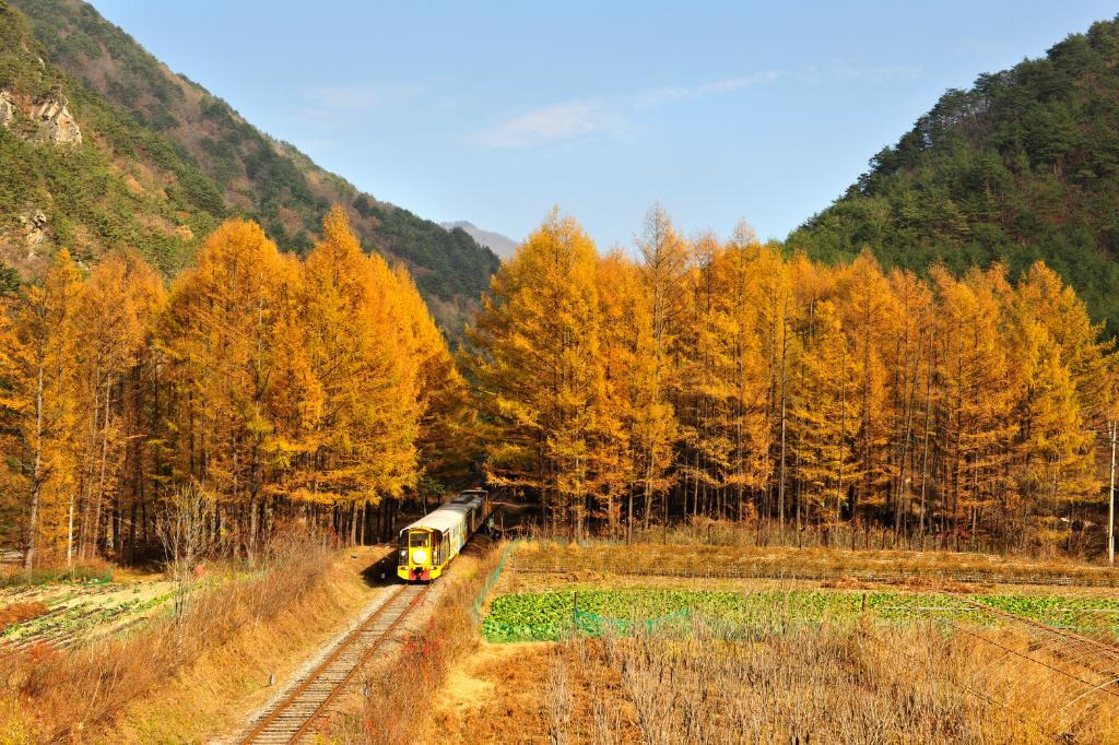 정선 풍경열차