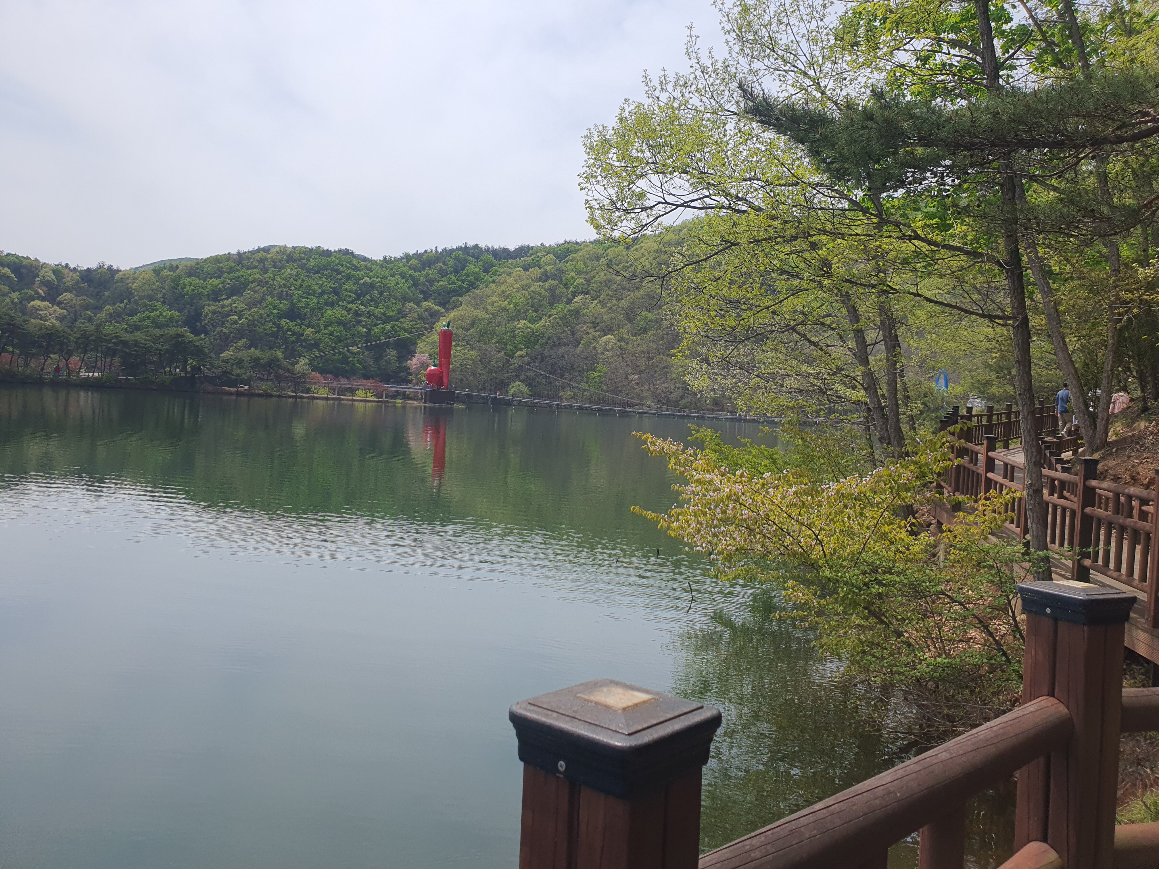 천장호 출렁다리 특징 및 활동