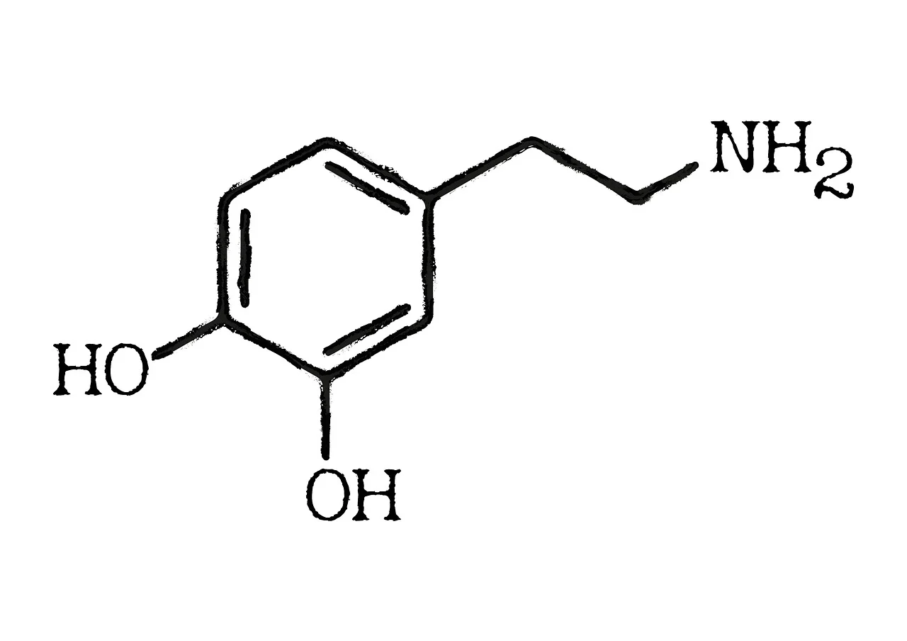 도파민생성
