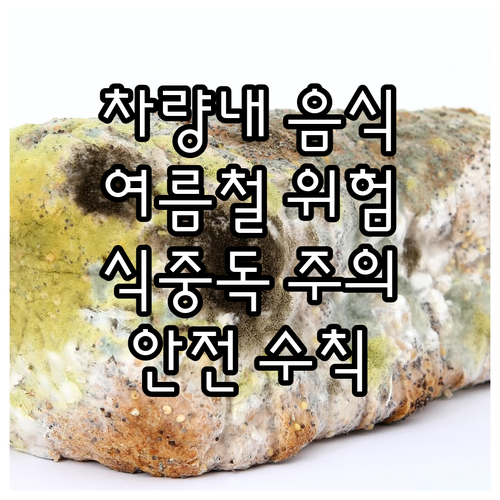 여름철 차량 내 음식 보관, 식중독 ..