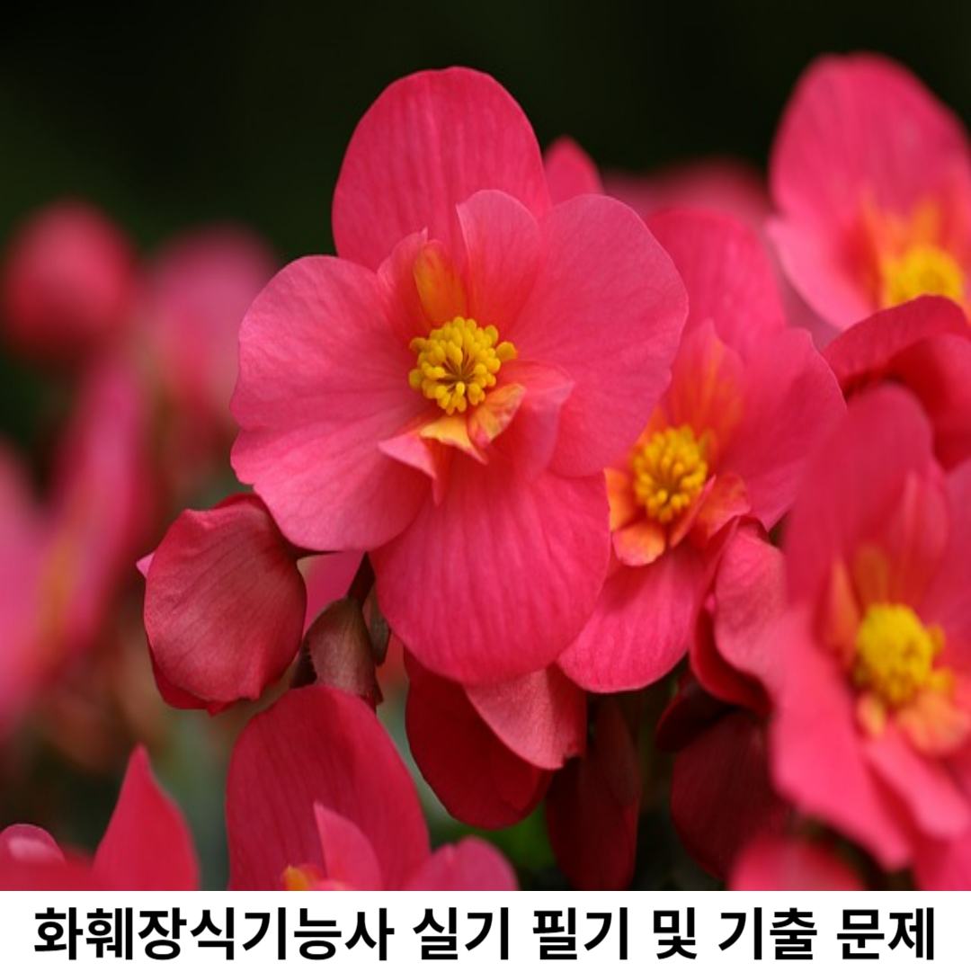 화훼장식기능사 실기 시험