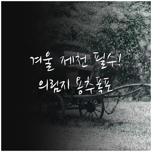 겨울 제천 가볼만한곳 의림지 노송길과..