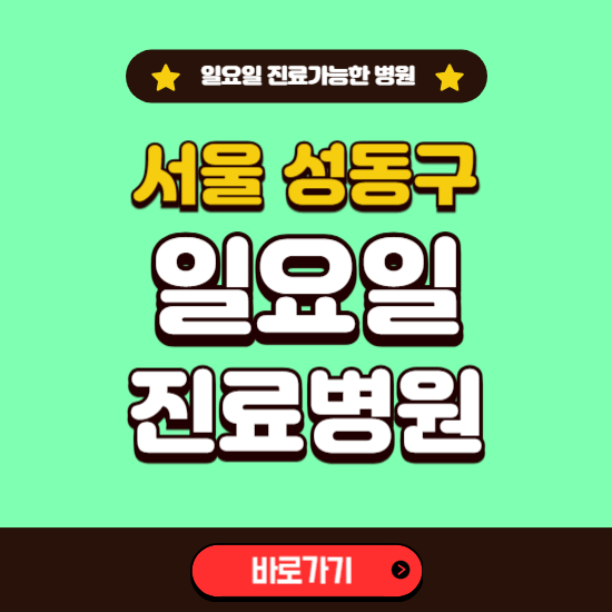 서울 성동구 일요일 진료 가능한 병원 ❘ 주말 문여는 곳 총정리 (소아과, 내과, 안과, 치과, 피부과, 정형외과, 산부인과)