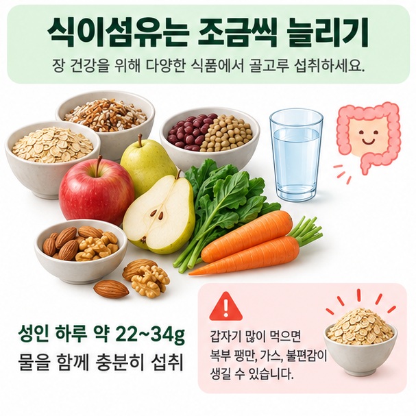 통곡물, 콩류, 과일, 채소와 물을 함께 섭취하며 식이섬유를 천천히 늘리는 방법을 표현한 이미지