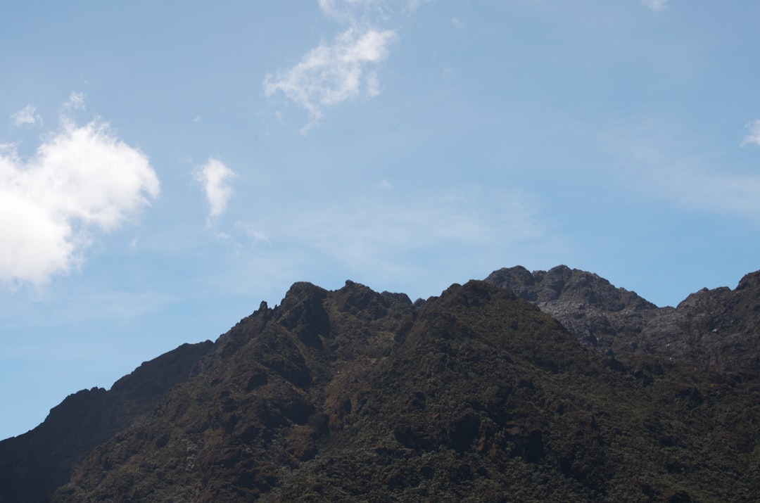 Mountain