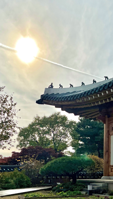 청와대 관람 신청