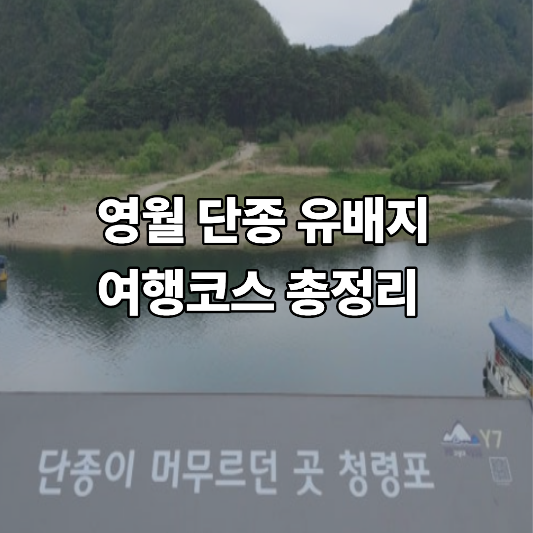 슬픈 역사가 흐르는 땅, 영월 단종 유배지 여행 코스 총정리 (청령포·관풍헌·장릉)