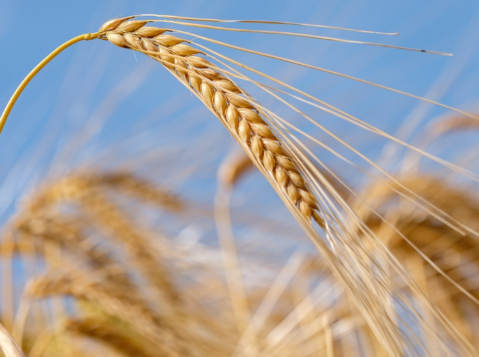 농작물 재해보험 보험금 청구: 구체적인 방법과 절차 안내