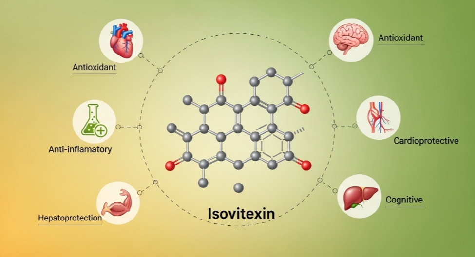 이소비텍신 효능