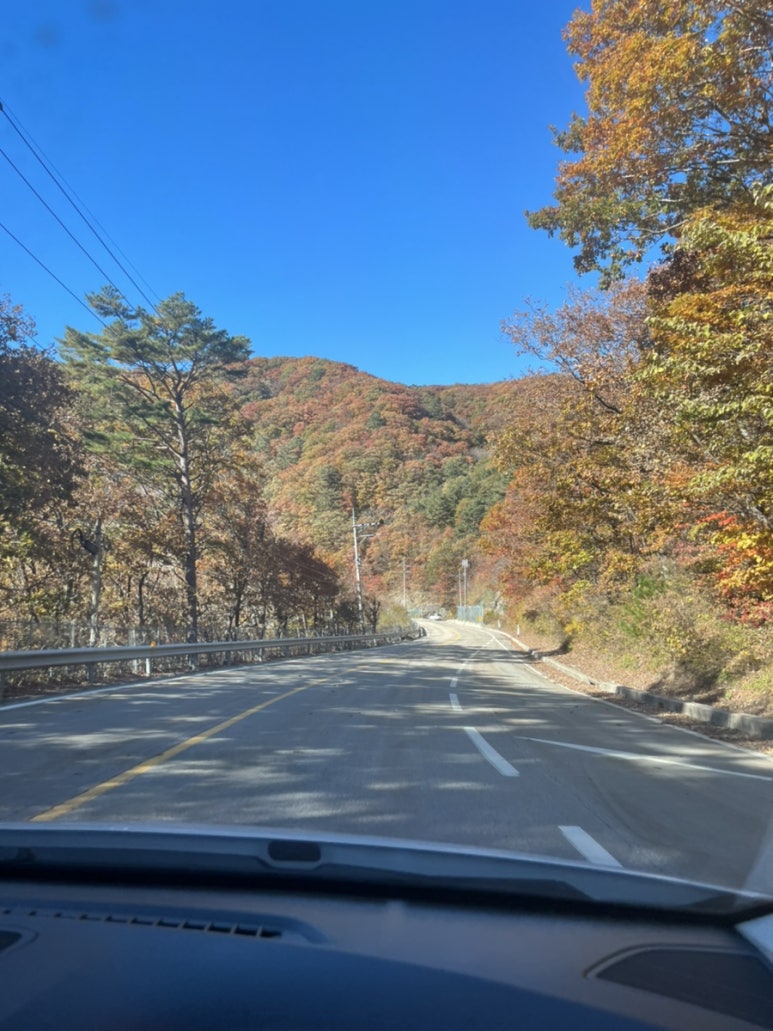 2024 가을 캠핑 장소 추천 TOP3 및 준비물