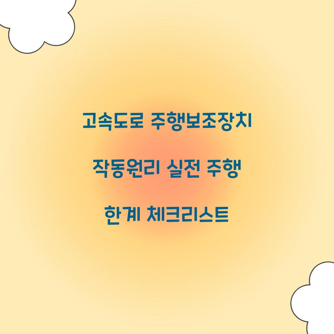 고속도로 주행보조장치