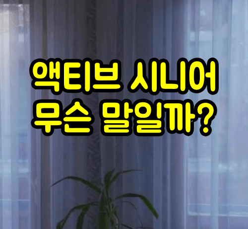 액티브시니어 뜻