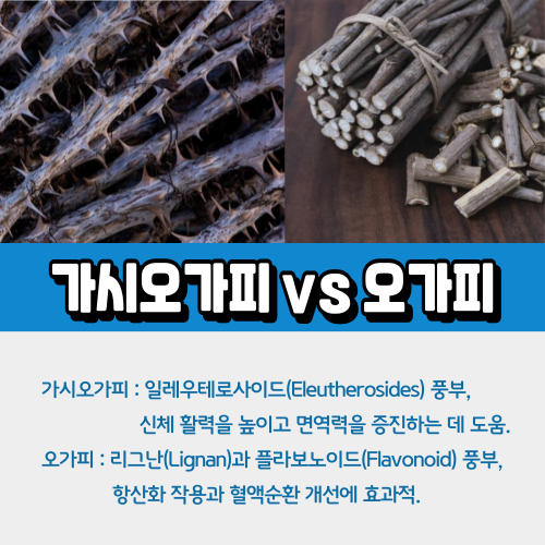 가시오가피와오가피차이