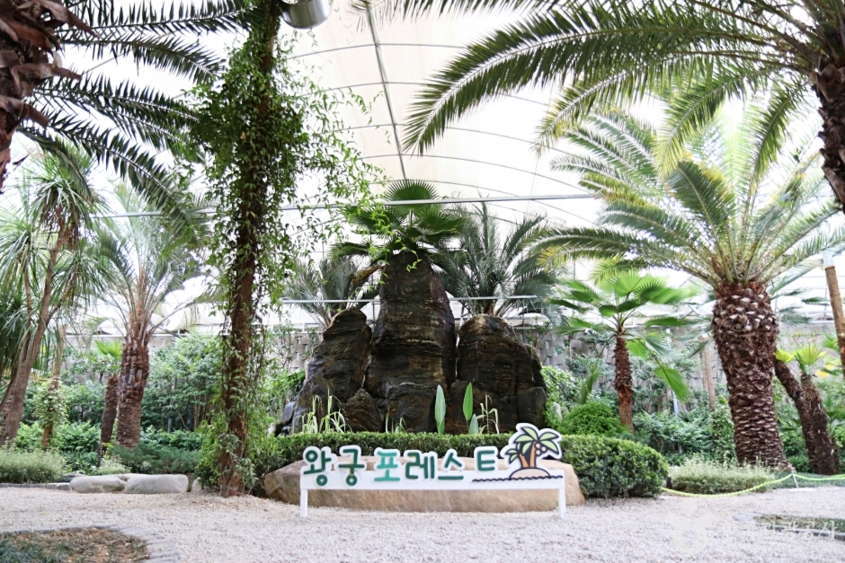 익산 가볼만한곳 베스트10