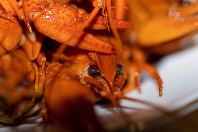 키토산 효능과 부작용