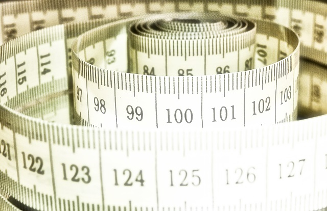 인치 센티(치) 변환