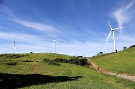 평창 대관령 하늘목장 2