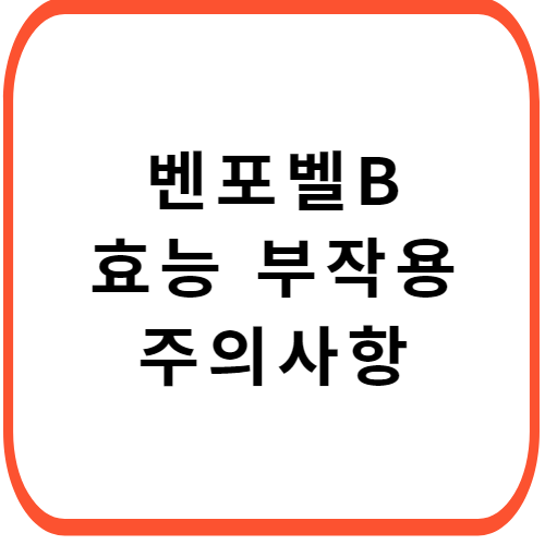 벤포벨-B-가격-성분-효능-부작용-썸네일