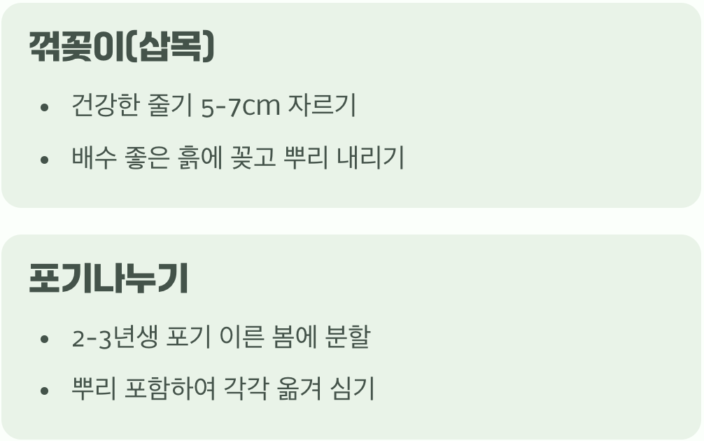 정원을 넓히는 즐거움, 꺾꽂이와 포기나누기